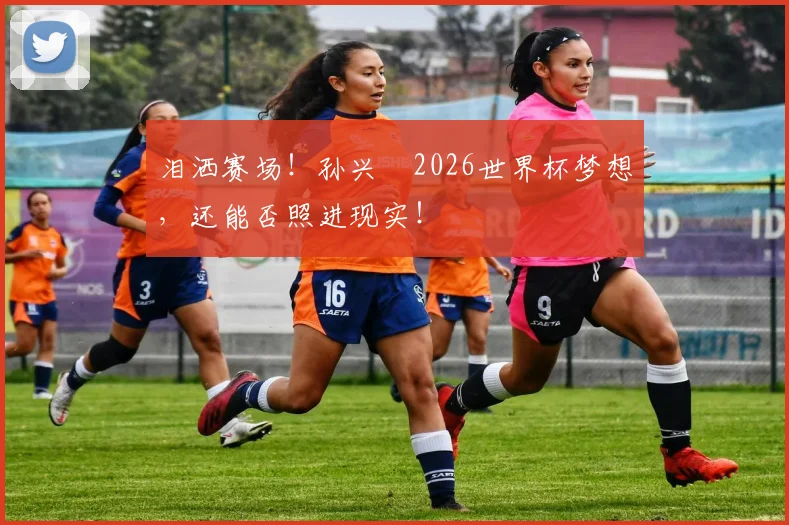 泪洒赛场！孙兴慜2026世界杯梦想，还能否照进现实！